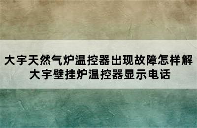 大宇天然气炉温控器出现故障怎样解 大宇壁挂炉温控器显示电话